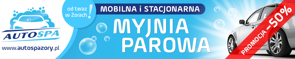 Mobilna i stacjonarna myjnia parowa w Żorach