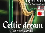Celtycki sen z Carrantuohill