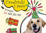 Nowość w MOK-u: urodzinki z psem!