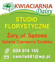 Kwiaciarnia Daisy