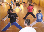 CAPOEIRA grupa UNICAR CAPOEIRA grupa UNICAR