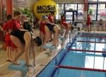Pływackie mistrzostwa w Żorach