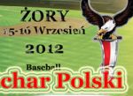 Puchar Polski w baseball