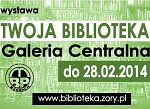 Rok w Bibliotece na fotografiach