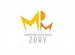 Sesja Młodzieżowej Rady Miasta Żory w kwietniu