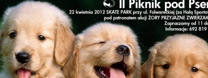 Szykuj się na piknik ze swoim psem