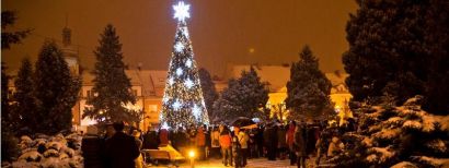 Choinka rozświetla Rynek