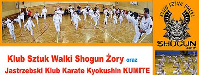 Wakacje z karate. Otwarte treningi od 1 do 10 lipca