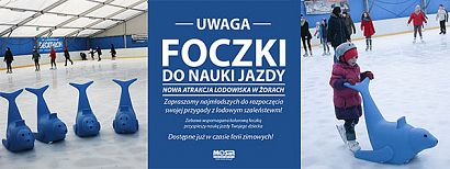 Nowe foczki na lodowisku - Akcja Zima trwa