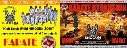 Karate sposobem na życie