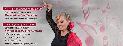 Flamenco w obrazie i dźwięku - inicjatywa M. Golan