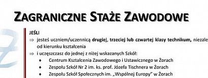 Staże zagraniczne dla uczniów i absolwentów. Żorska Izba Gospodarcza zachęca do udziału