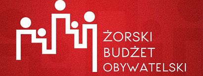 Żorski Budżet Obywatelski 2021, wyniki głosowania