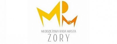 Lutowa sesja Młodzieżowej Rady Miasta 