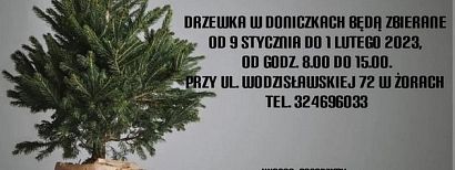 Daj choince drugie życie