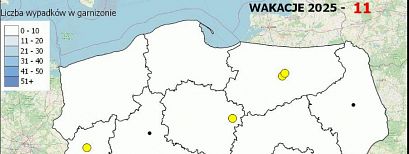 Policyjna mapa wypadków drogowych ze skutkiem śmiertelnym. Wakacje 2025
