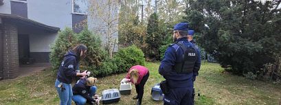 Policja prowadzi postępowanie w sprawie możliwego znęcania się nad zwierzętami Policja prowadzi postępowanie w sprawie możliwego znęcania się nad zwierzętami