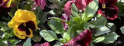 Z okazji Świąt Wielkanocnych