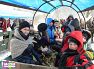 Akcja Zima 2015: Wyjazd na Kulig do Istebnej