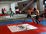 Żory na Forum MMA i Amatorskim Pucharze Polski